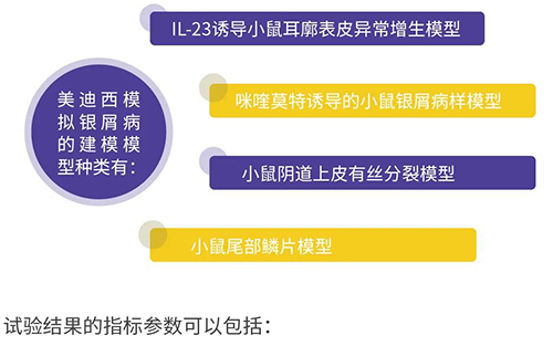 BB贝博仿照银屑病的建模模型种类