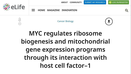能够“消融”肿瘤的蛋白质，你肯定没有听说过！
