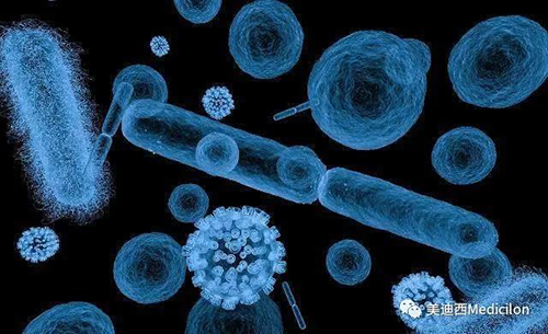 20分钟，大无数细菌都能够繁衍一代 BB贝博生物医药