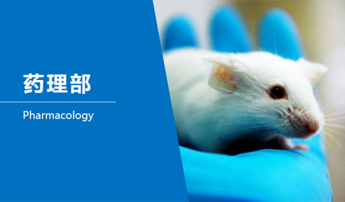 BB贝博临床前钻研-药理部