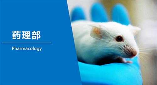 BB贝博临床前钻研-药理部
