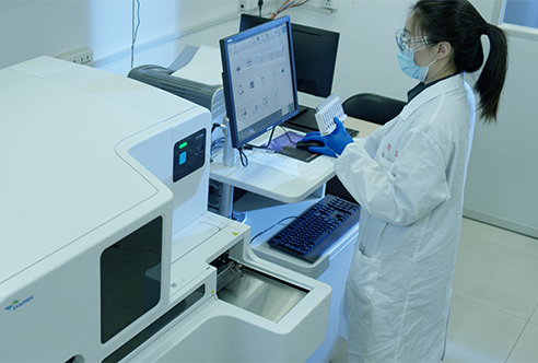 BB贝博一体化DMPK服务为药物研发保驾护航