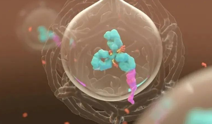 美研 | BB贝博带您相识ADC奥妙之处