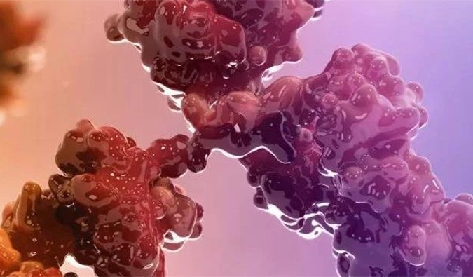 连摘3果！10天内，BB贝博助力的3个双特异性抗体医治性药物获批.jpg