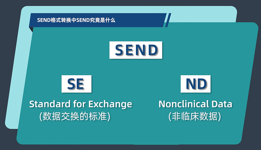 SEND体式转换中的SEND到底是什么？