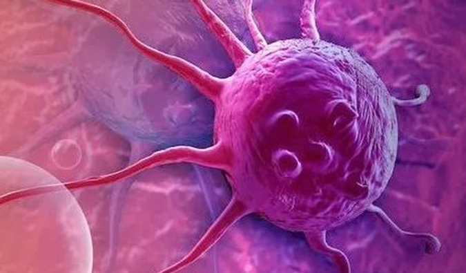 BB贝博助力中国原研高选择性EP4受体拮抗剂YY001获批临床