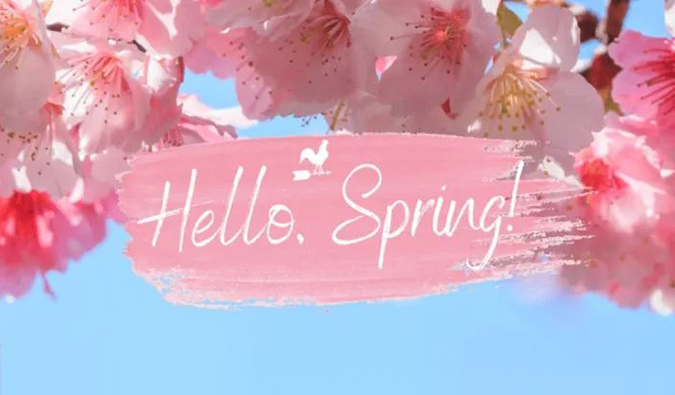 倒计时7天| BB贝博春日礼遇第一波