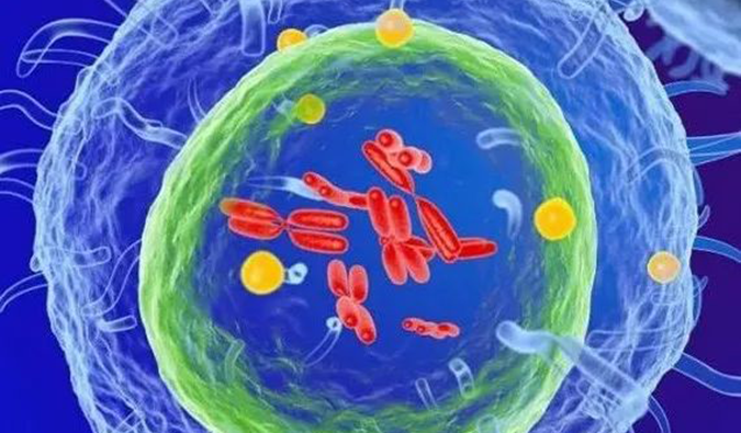  BB贝博助力 | 信诺维抗肿瘤1类新药XNW14010获批临床.png