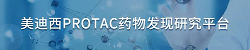 BB贝博PROTAC药物发现钻研平台.png