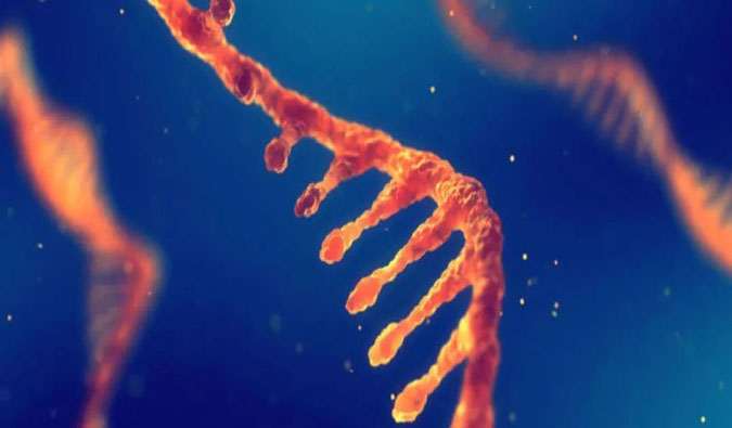 赋能核酸药物疗法，迎接新药研发第三次海潮