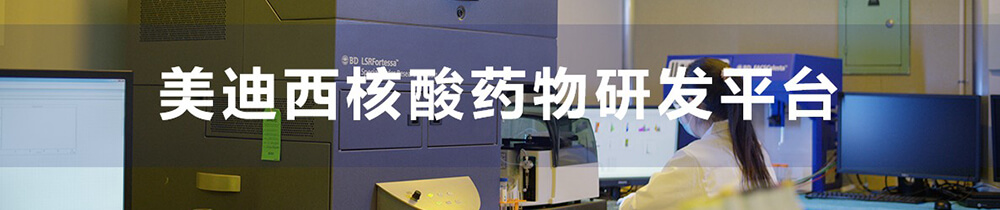 BB贝博核酸药物研发平台-1.jpg