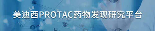 BB贝博protac药物发现钻研平台.jpg