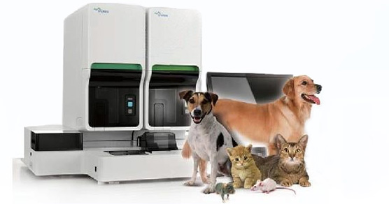 全自动血液分析仪