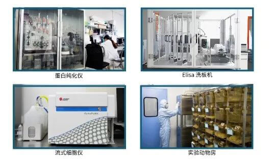 BB贝博抗体开发平台.jpg