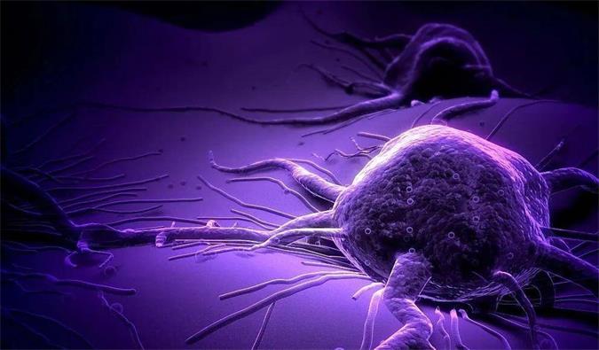 BB贝博助力轩竹生物研发的齐全敲除岩藻糖的双抗ADC药物KM501获批临床