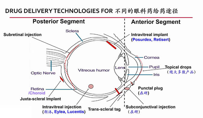 【内附回放+下半场预约】BB贝博眼科药物专题钻研会上半场杰出回首