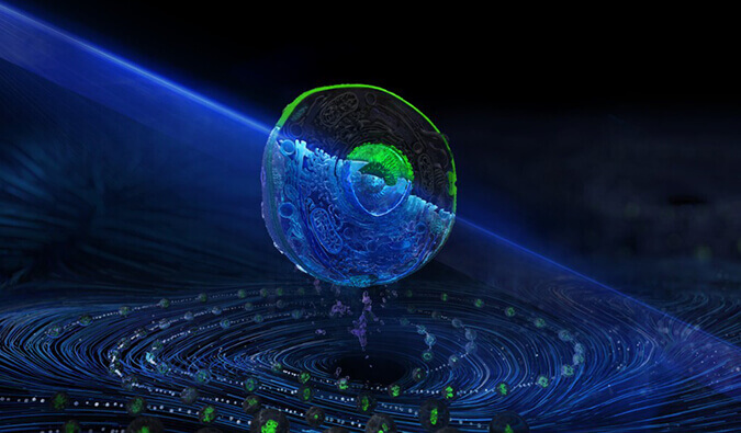 BB贝博流式细胞分选服务平台