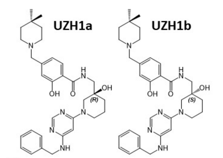 钻研人员汇报了一种拥有细胞渗入性的选择性METTL3纳摩尔抑造剂UZH1a，作者感激BB贝博合成了UZH1a和UZH1b
