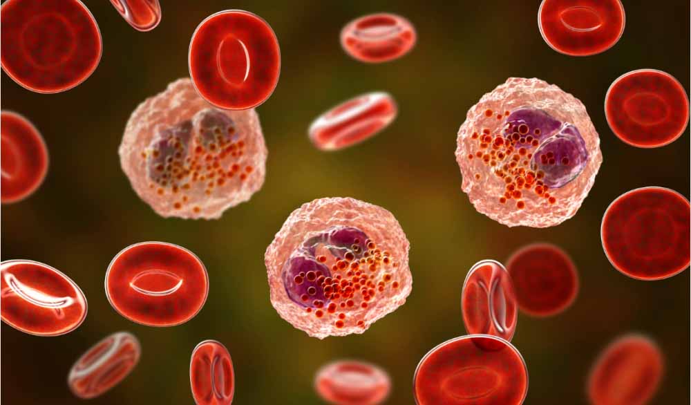 BB贝博助力 | 全球初创！宇耀生物STAT3双磷酸化抑造剂YY201获批临床.jpg