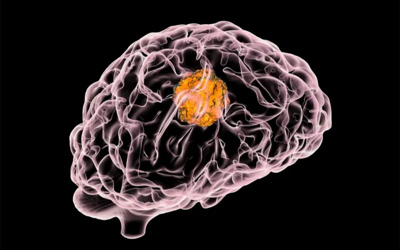 BB贝博助力 | 璧辰医药ABM-1310获美国FDA孤儿药资格认证，用于医治携带BRAF V600突变的脑胶质母细胞瘤患者