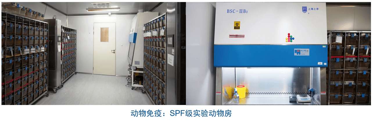 BB贝博杂交瘤技术平台设备-动物免疫SPF级尝试动物房