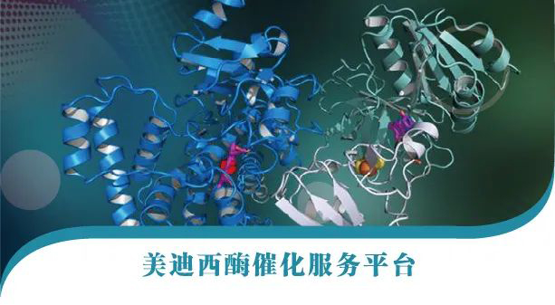 BB贝博酶催化服务平台.jpg