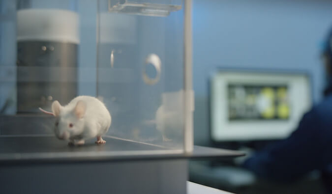 BB贝博助力开悦性命针对RNA解旋酶的幼分子新药获FDA临床尝试许可（IND)