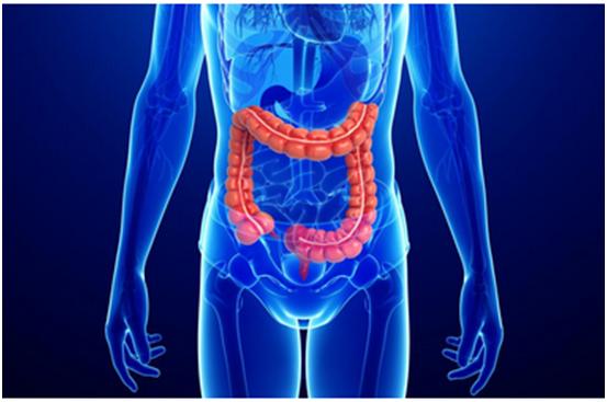 BB贝博一站式助力 | 宝太生物首个中美双报创新药获批