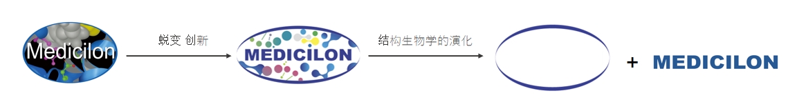 椭圆形作为天然界的美满状态，象征着BB贝博在适应环境变动中不休演化