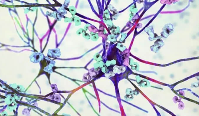 BB贝博镇痛药效评价模型