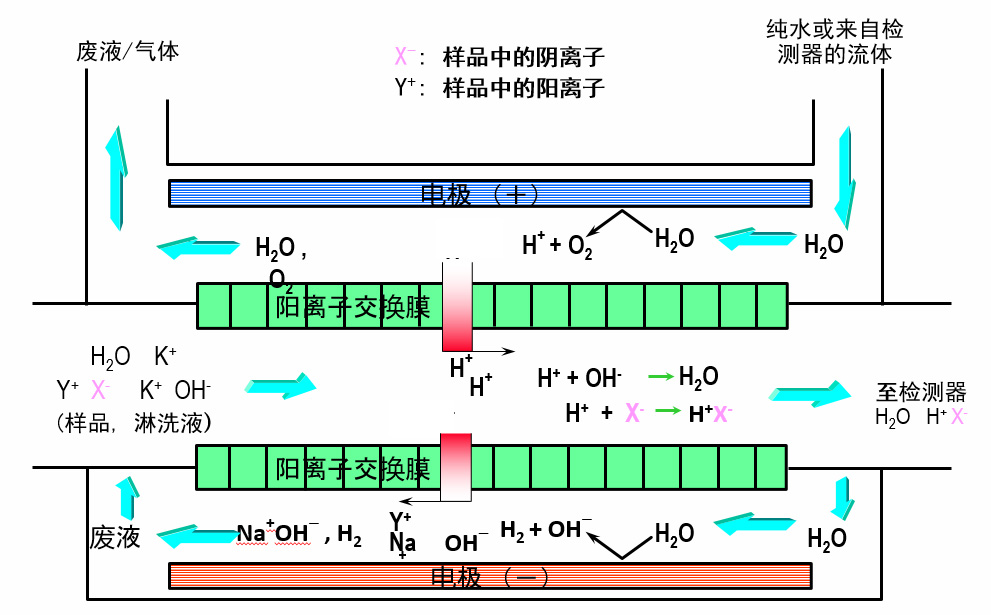 离子色谱电解抑造器的抑造道理.jpg