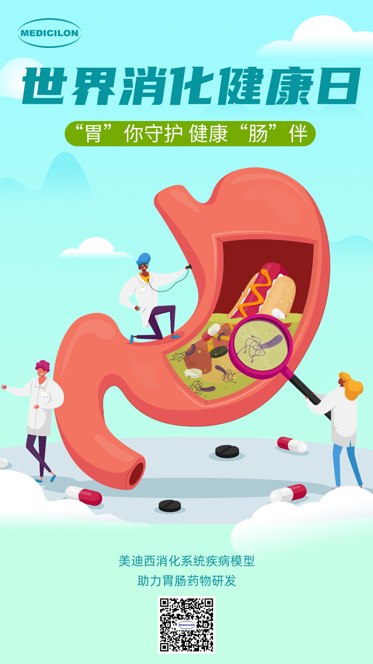 BB贝博消化系统疾病模型助力胃肠药物研发.jpg