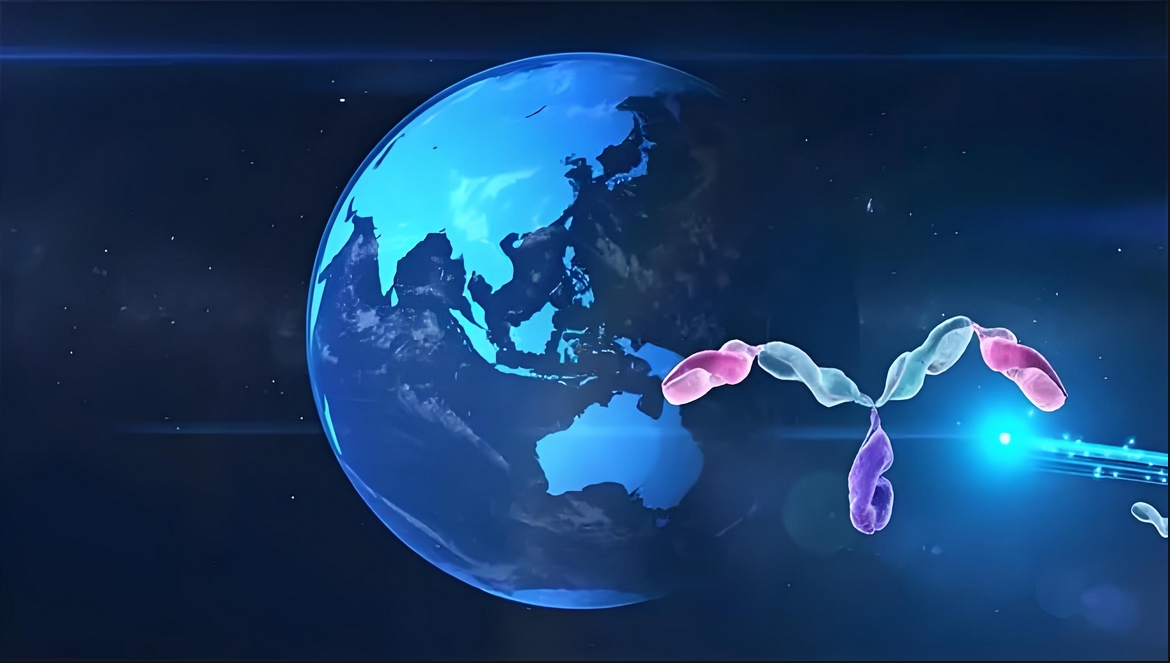 价值屡经验证！BB贝博祝贺合作同伴岸迈生物BCMA×CD3双抗EMB-06授权出海