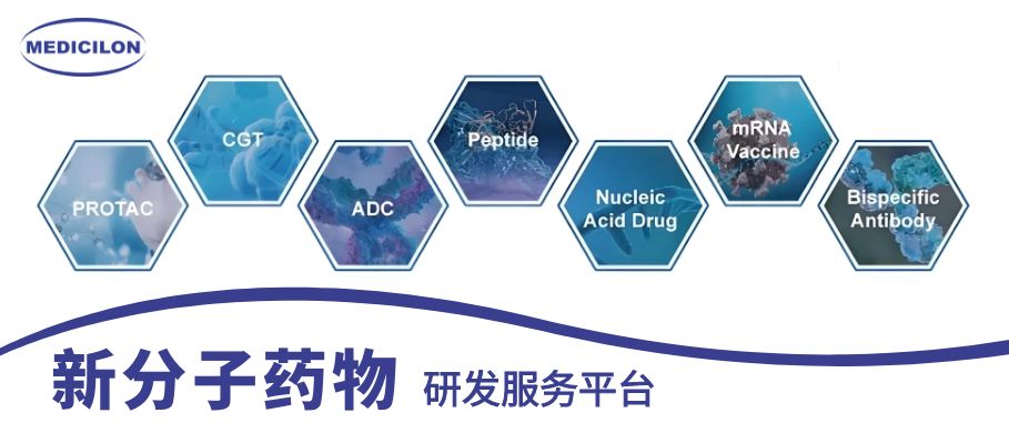 BB贝博新分子药物研发服务平台