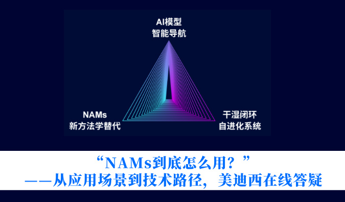“NAMs到底怎么用？”——从利用场景到技术蹊径，BB贝博在线答疑